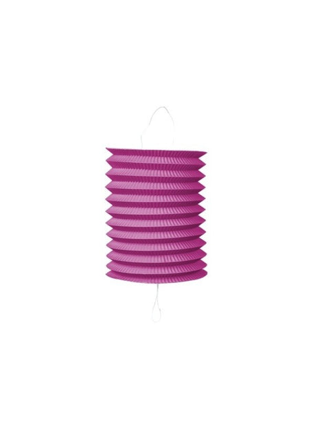 Fuchsia Lampion Trek 16cm