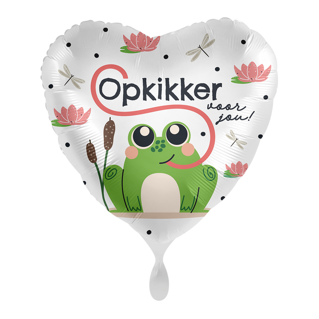 Kikker Helium Ballon Leeg 43cm