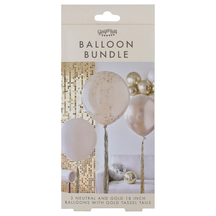 Gekleurde Ballonnen Set