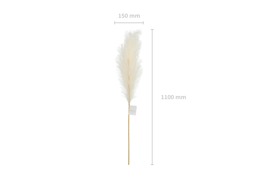 Droogbloemen Pampas 1,1m