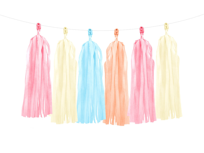 Tassel Slinger Gekleurd Pastel 2m