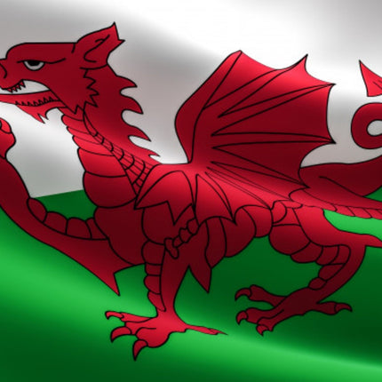 Vlag Wales 150cm