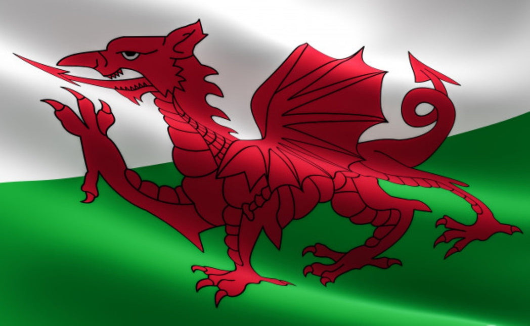 Vlag Wales 150cm