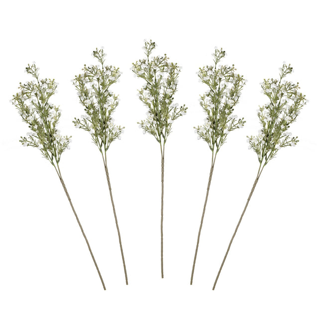 Droogbloemen Gypsophilia Stems 40cm 5st